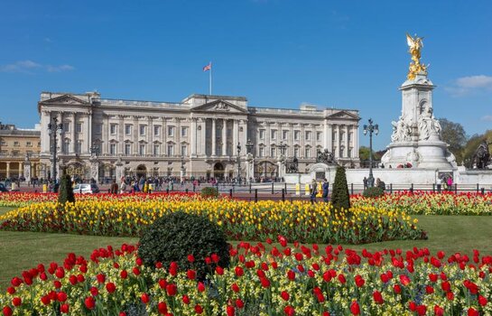 Buckingham Palace from gardens London UK   Diliff
