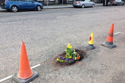 Flowers in pothole