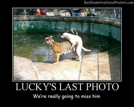 Luckys-Last-Photo-Best-Demotivational-Posters.jpg