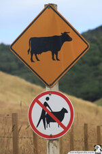 Funny-Signs-Cow-35.jpg