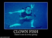 d7971678d9450c8f2c37d58b8fdde26e--scuba-diving-quotes-car-humor.jpg
