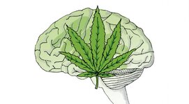 cannabis-1140x630.jpg